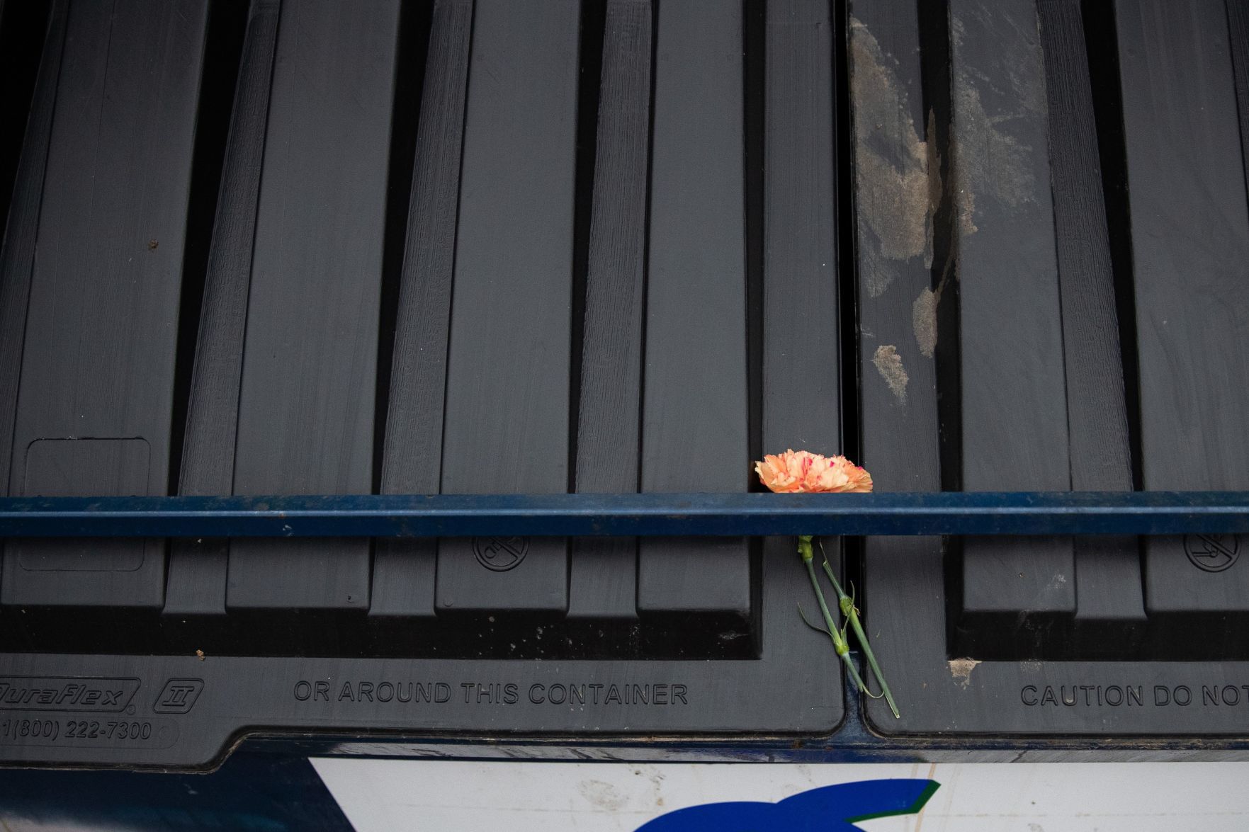 Protest Damage